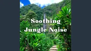 Distant Stream Sounds