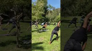 Yoga In The Park - Runyon Canyon