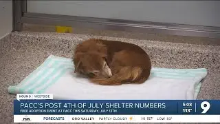 PACC's post 4th of July shelter numbers, free adoption event this weekend