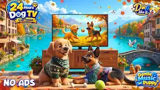 24 Hours Relaxing Dog Cartoon 🐾 Ultimate Dog TV Cartoon for Dogs Home Alone with Cozy Autumn🌰