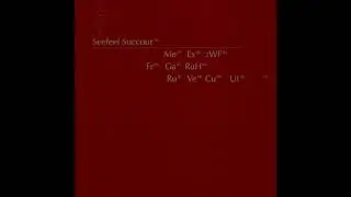 SEEFEEL - Succour - 1995