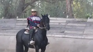 Niño de 12 años será el jinete más joven del Champion de Chile