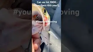 THIS ONE PUT UP A FIGHT!!😅🎣 #yourbaitsmoving #saltwater #gofishing#catchmorefish  LIKE&SUBSCRIBE!!
