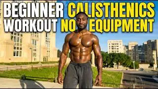 Beginner Calisthenics Workout No Equipment
