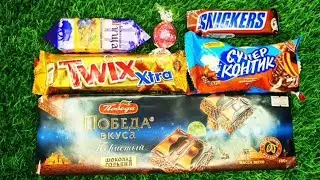 Satisfying video ASMR, super kontik cookies, victory porous 🍫, slides, Twix, Snickers,👌💯🤩🤝👍🍬😋🍭🍬❤️🍒🍓😎