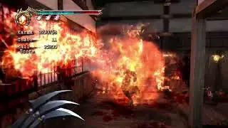 NG2 falcon talon room master ninja