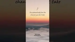 Take a Chance!