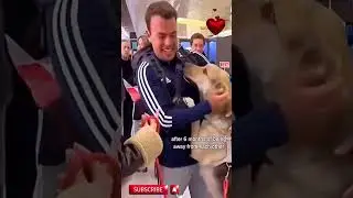 Heartwarming Dog Reunions with Their Owners Try Not to Cry!
