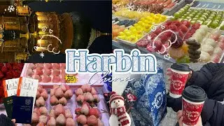 Eng sub_ Harbin triplog🇨🇳ㅣ하얼빈 2박 3일 여행ㅣ수건케이크ㅣ미쉐 밀크티ㅣ차지 밀크티ㅣ꿔바로우 본고장ㅣ첫 중국여행ㅣ대학생 여행
