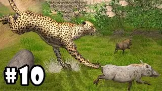 Ultimate Savanna Simulator (by Gluten Free Games) Android Gameplay Part 10 [HD]