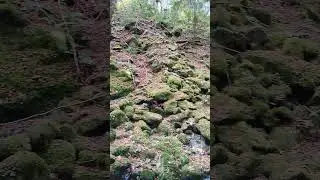 Brugga-Wasserf&auml;lle - ein Juwel in der N&auml;he Freiburgs! #wandern #freiburg  #schwarzwald #brugga