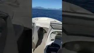 Bayliner Capri 1855 ss 1999