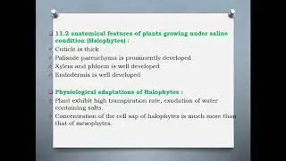 3Sem ESDM-231(Practical)