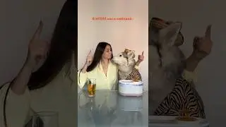 Арт. OZON #696998946