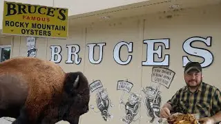 Bruce's Bar And Restaurant: Bison (Black Hills Oysters)🍽️😱 In Severance, Colorado