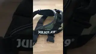 Julius k9 Power Harness