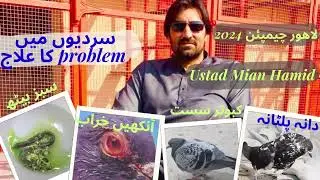 Sardiyoon ma kabotero k mukhtalif problem ka ilaaj | pigeon problem in winter😁