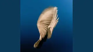 Run Away