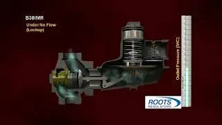 ROOTS Regulators B38IMR Animation