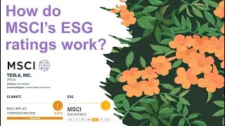MSCI's ESG scores: why Tesla is rated Average, opportunities for transparency