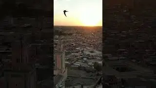 Marrakech skyline #morocco  #drone  #sunset  #shorts