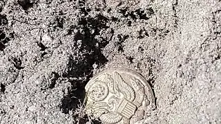 Metal Detecting Ghost Town sidewalks, yards, and roads for treasure-Bits and Bells!