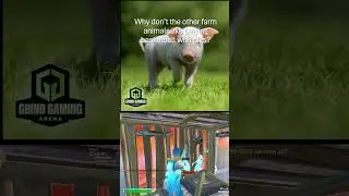 Grind Gaming   Dad Jokes   Clip 8   Tittals