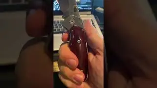 BUCK 276 FOLDING ALPHA HUNTER W GUTHOOK