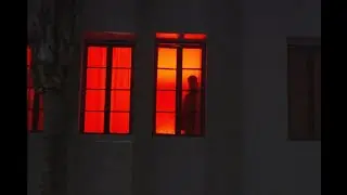 Mick Jenkins - ROY G. BIV (Official Visualizer)