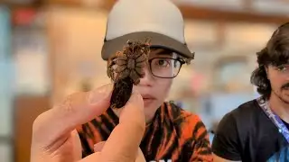Japan Vlog #10 | eating a tarantula & giant water bugs