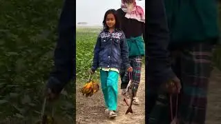 Beautiful Village Morning Routine | Buying Fresh Fish & Bananas