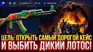 ЦЕЛЬ: ОТКРЫТЬ САМЫЙ ДОРОГОЙ КЕЙС И ВЫБИТЬ AK-47 ДИКИЙ ЛОТОС НА GIVEDROP! ОНИ ПОЧИНИЛИ АПЫ?
