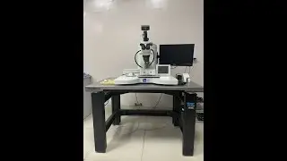 Wirebonder