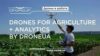 Топ дронов для сельского хозяйства + аналитика от DroneUA