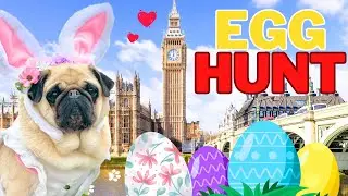 Dog Easter Egg Hunt in London 🇬🇧🐣 &mdash; Maggie the Pug