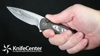We Knife Company Limited Edition Button Lock Kitefin Flipper Knife