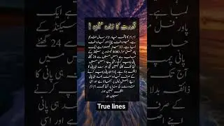 Kudrat ka maujza😱#miracle#poetry#viralstory#zamzam#islamicstatus#viral