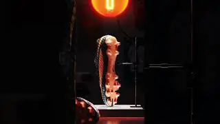 Hypervenom Is Back. | Nike Football