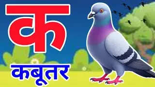 Ka se Kabutar | क से कबूतर |  ABCD Song | Kids Learning Video | Kriti Cartoon TV | Hindi Varnmala |