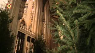 De eerste beelden: Kerststal St. Jan Den Bosch wordt helemaal anders