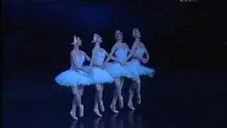 Hungarian National Ballet Company 4 Little Swans - Swan Lake - Hatty&uacute;k tava