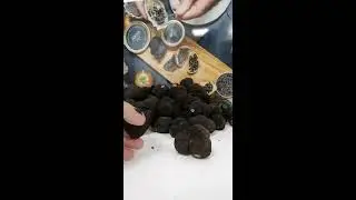 Astuces pour acheter vos truffes noires &agrave; maturit&eacute;