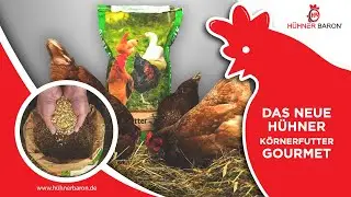 Entdecke das neue Gourmet-K&ouml;rnerfutter von H&uuml;hnerbaron | Der neue Geschmack f&uuml;r Ihr Huhn!