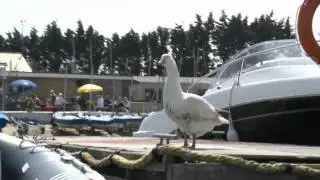 WLTV 'Push the Boat out' Feature