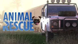 🎮Animal Rescue - Trailer - PC - Steam - PS4 - PS5 - Xbox One - Xbox Series X/S - Nintendo Switch🎮