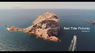 Spearfishing and Blue Water World Cup