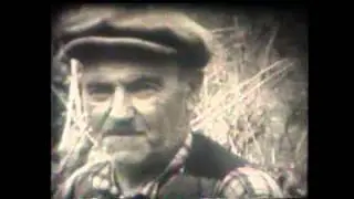 Ziyaret Belediyesi