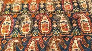 Kurdish 1048, 4&rsquo; x 6&rsquo; 4&rdquo;, 4th Quarter of the 1800s