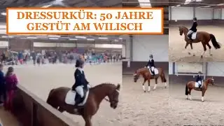 DRESSURK&Uuml;R: 50 JAHRE GEST&Uuml;T AM WILISCH