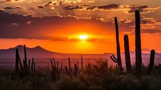 Country / Folk Music Volume 1 🎶 Country Music 2020 🎶 Best Country Music 🎶 Country Music Playlist